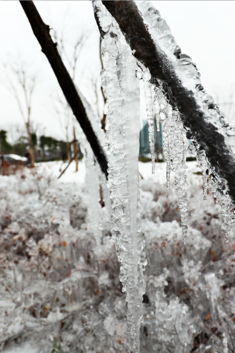 一場雪，體育中心美得不要不要的</br>但最美的風景還是他們(圖4)