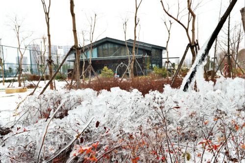 一場雪，體育中心美得不要不要的</br>但最美的風景還是他們(圖2)