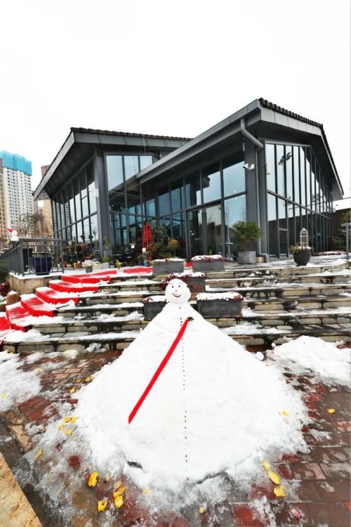 一場雪，體育中心美得不要不要的</br>但最美的風景還是他們(圖11)